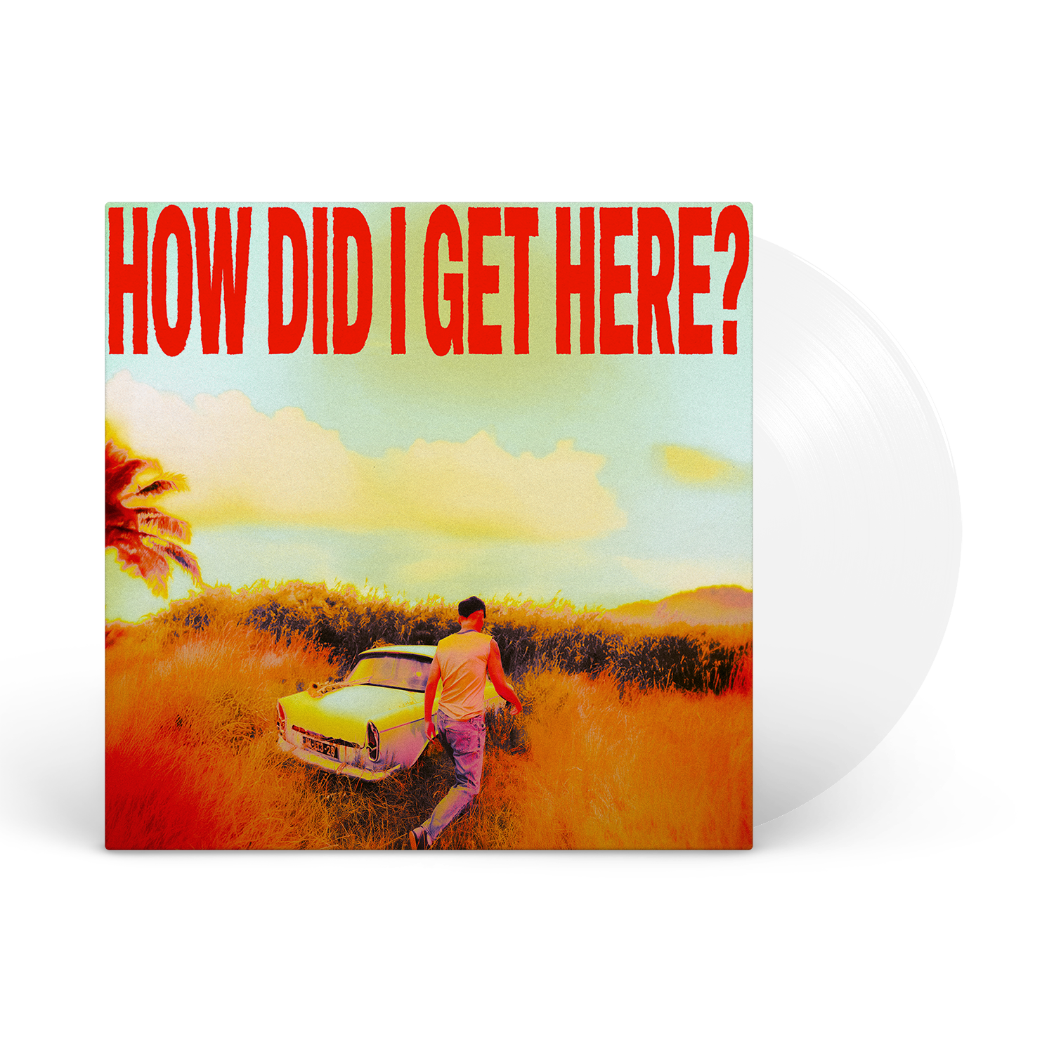 Louis Tomlinson - How Did I Get Here?
