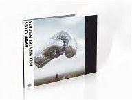 Bryan Adams - Roll With The Punches