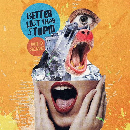 Wilde Slide - Better lost than stupid