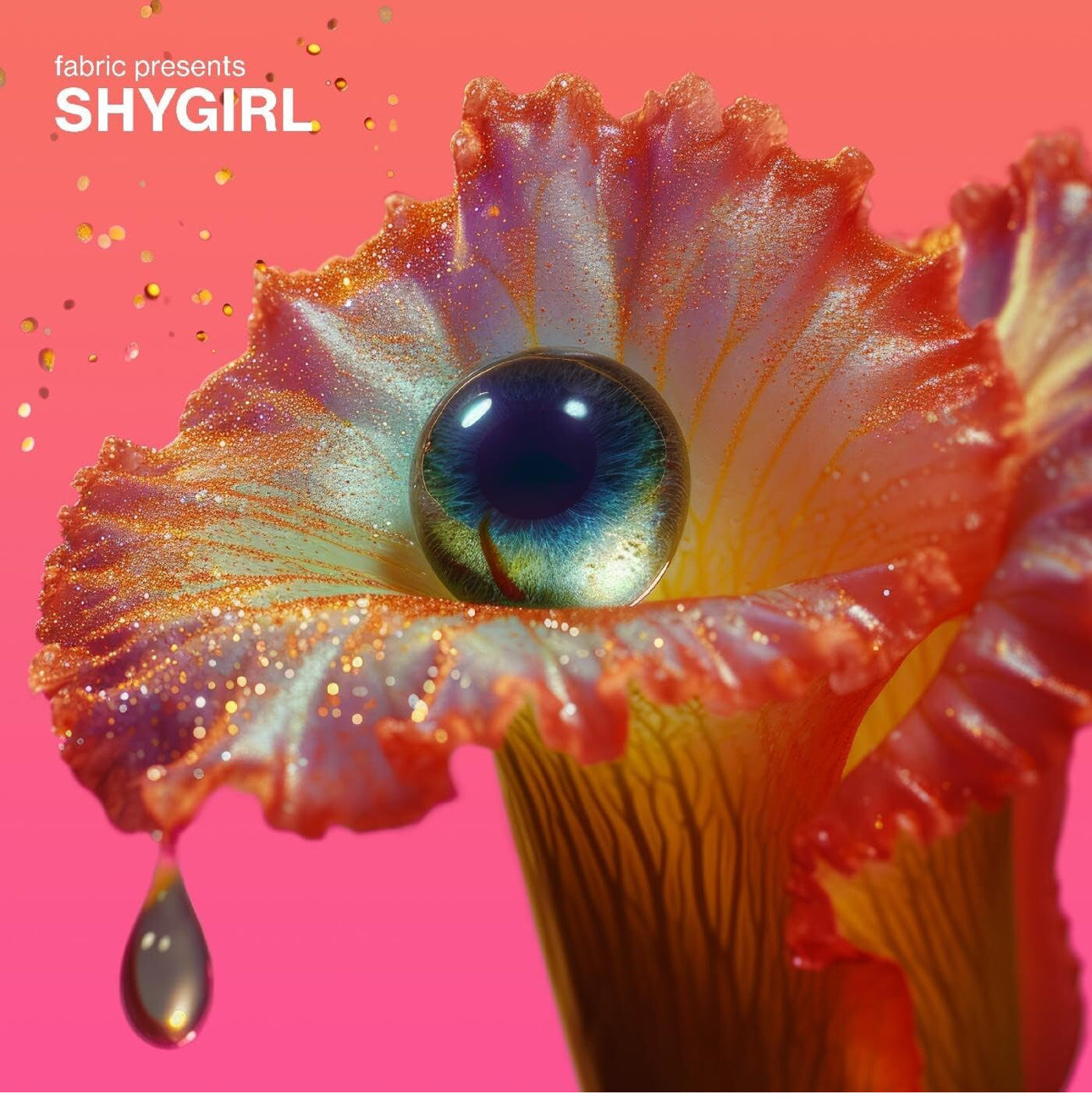 Shygirl
fabric presents Shygirl