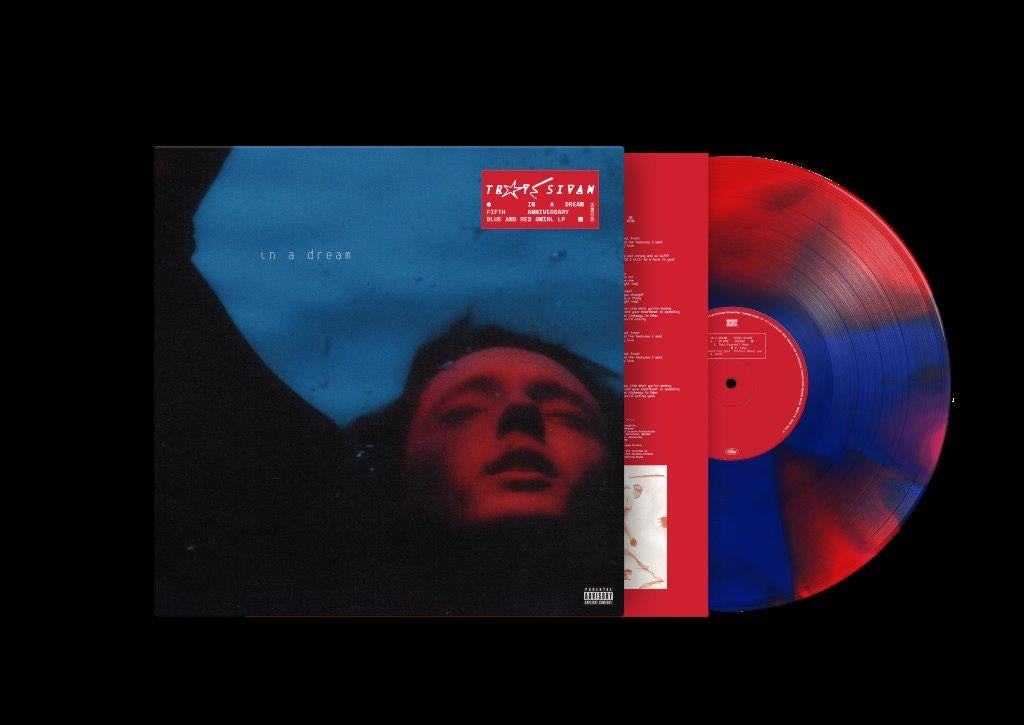 TROYE SIVAN IN A DREAM